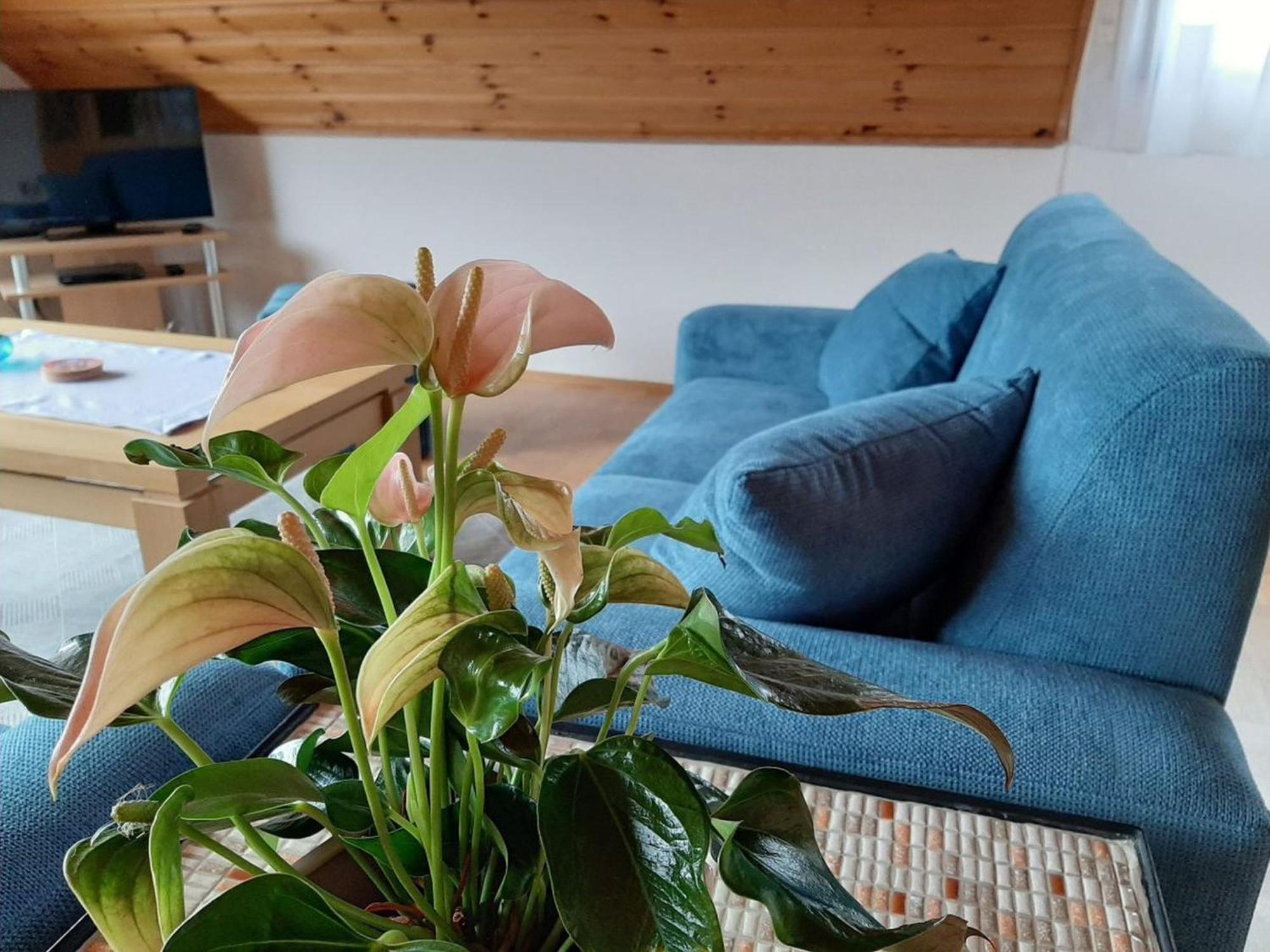 Ferienwohnung Am Patenberg Finnentrop ภายนอก รูปภาพ